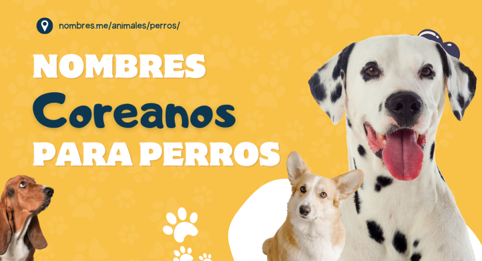 Dulces y divertidos Mejores Nombres Coreanos para Perros -