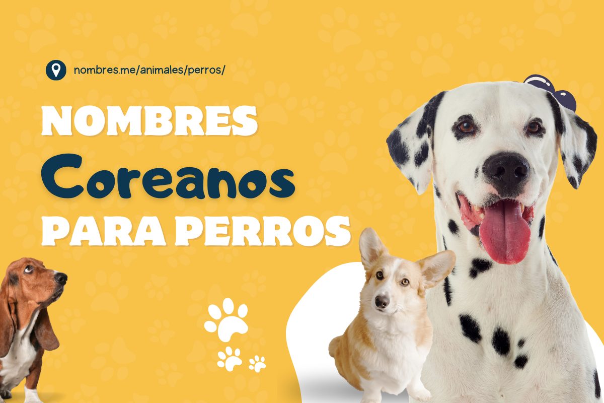 Dulces y divertidos Mejores Nombres Coreanos para Perros -