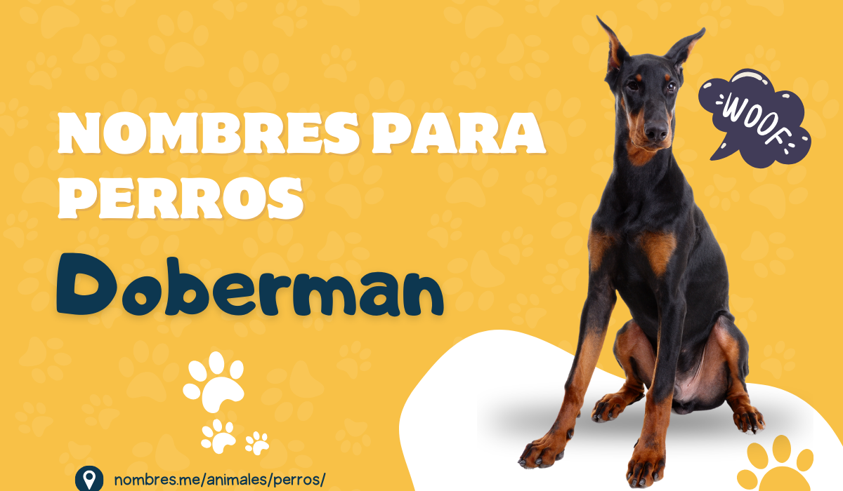 Mejores Nombres para Perros Doberman