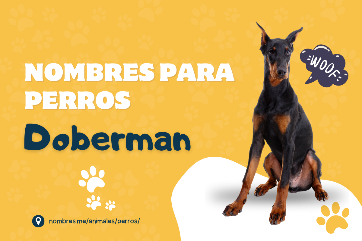 Mejores Nombres para Perros Doberman