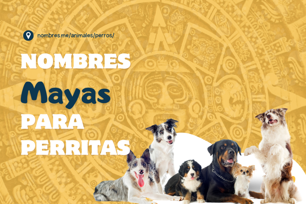 ideas de Nombres Mayas para perros hembras