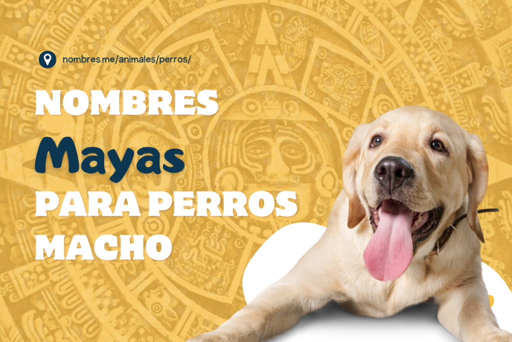 ideas de Nombres Mayas para perros machos