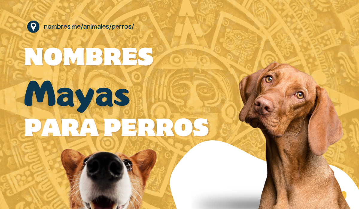 Mejores Nombres Mayas para perros