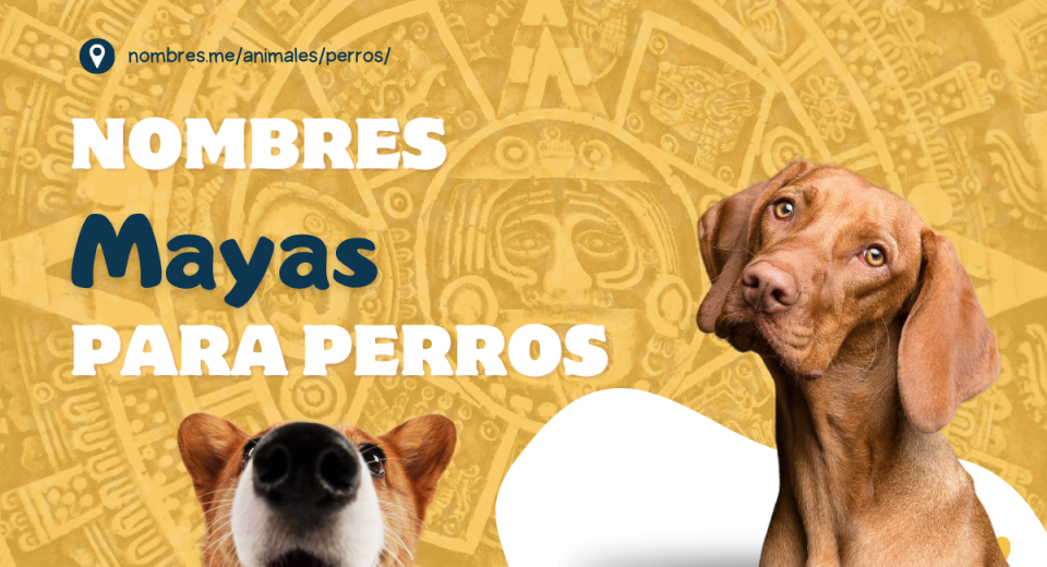 Mejores Nombres Mayas para perros