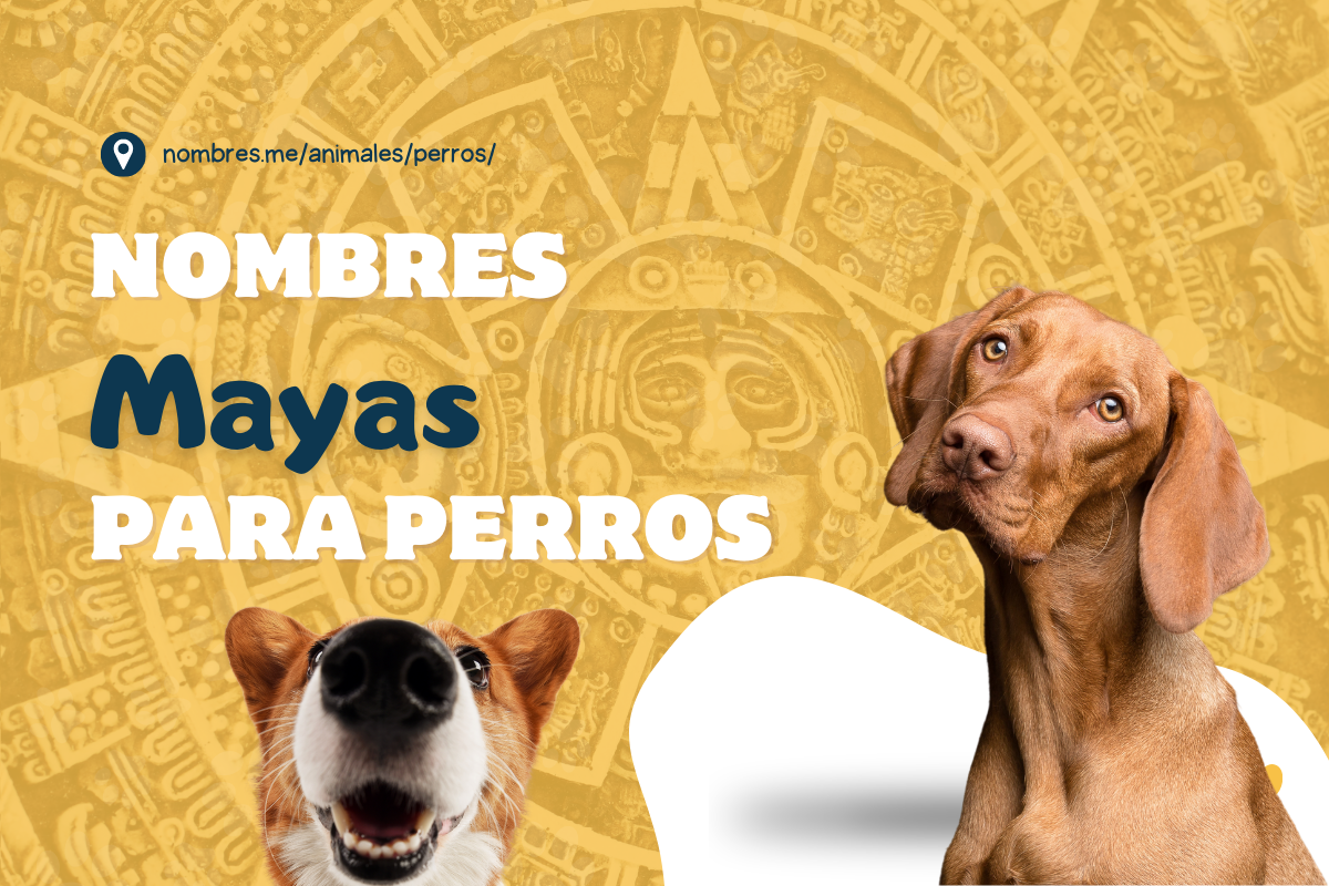 Mejores Nombres Mayas para perros