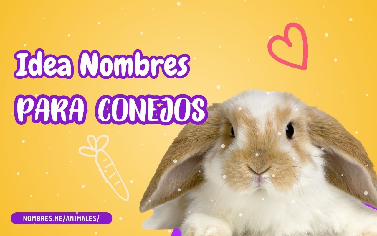 Los 10 mejores nombres de Conejos