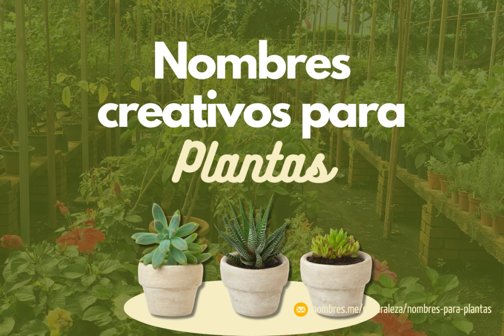 Lindos nombres creativos para Plantas