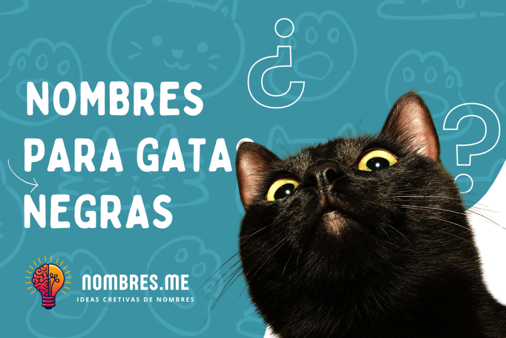 Mejores Nombres para gatas de color negro