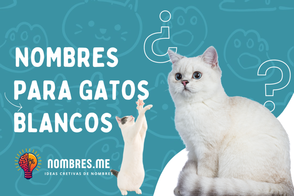 Mejores Nombres para Gatos Machos de color Blanco