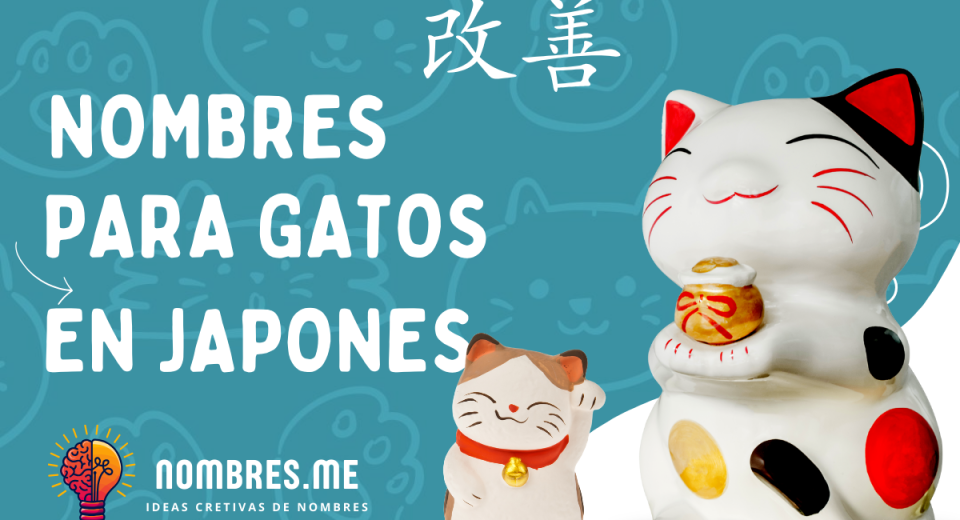 Top 25 nombres para gatos en japones