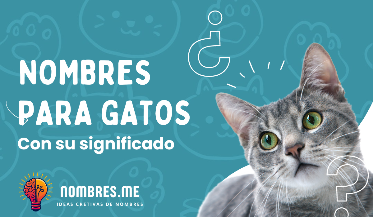 1000 Nombres para Gatos