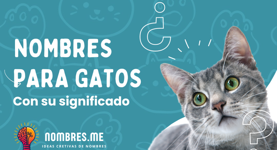 1000 Nombres para Gatos