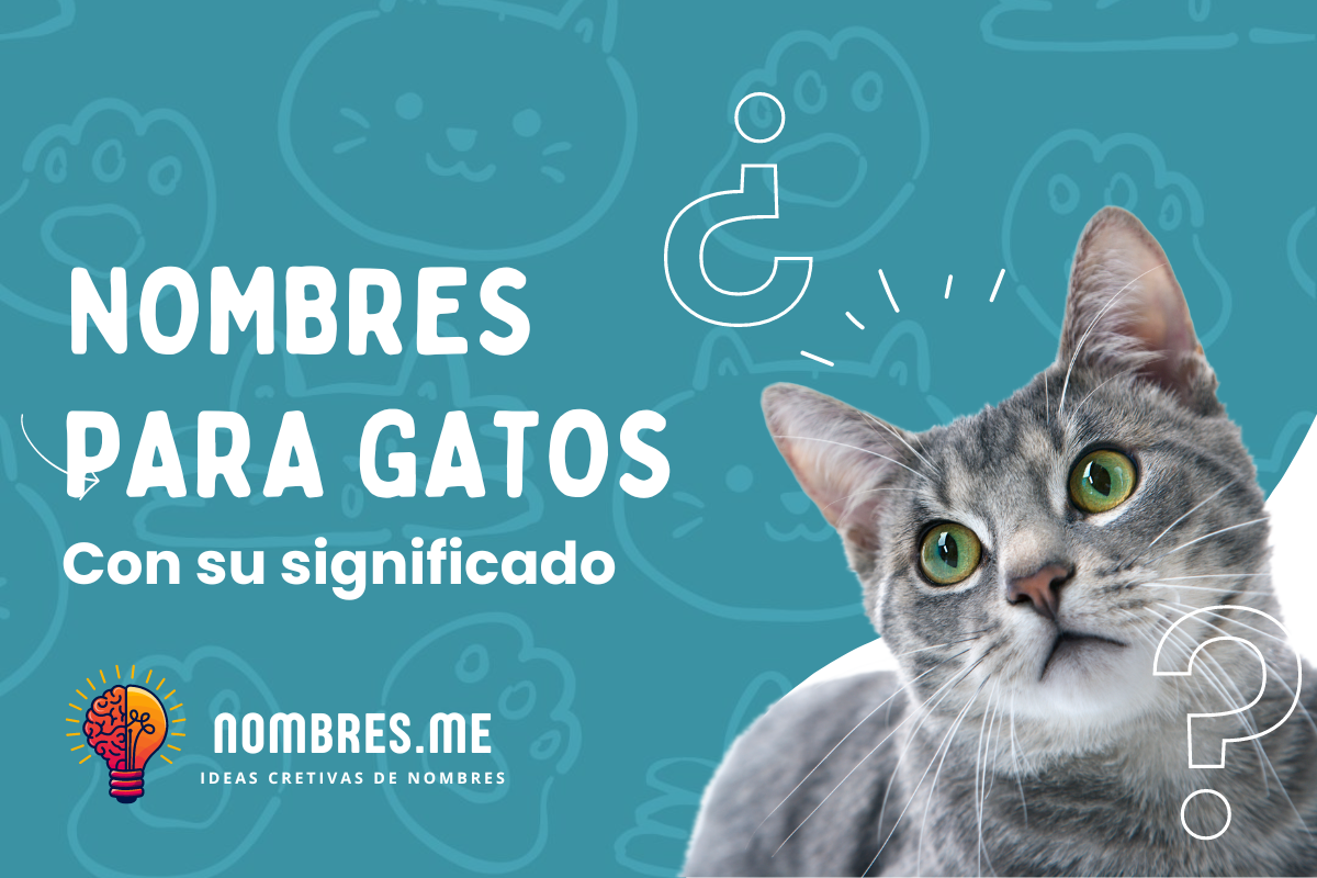 1000 Nombres para Gatos