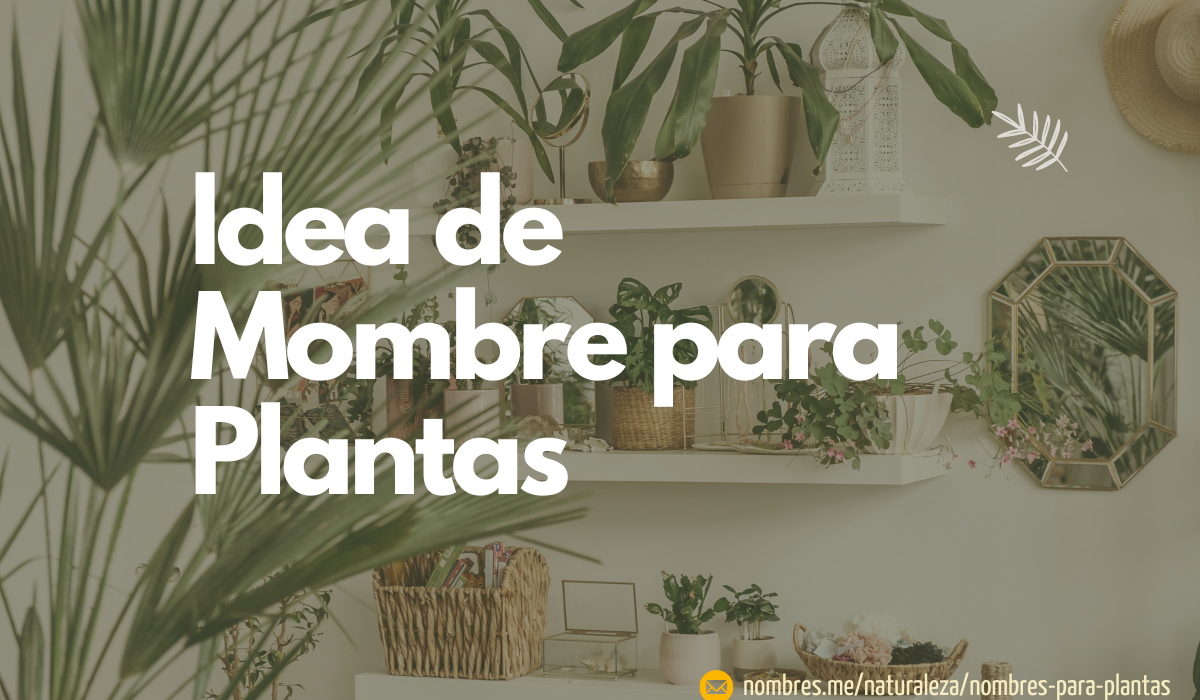 Mejores ideas de Nombres para Plantas