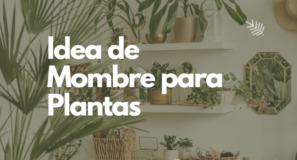 Mejores ideas de Nombres para Plantas