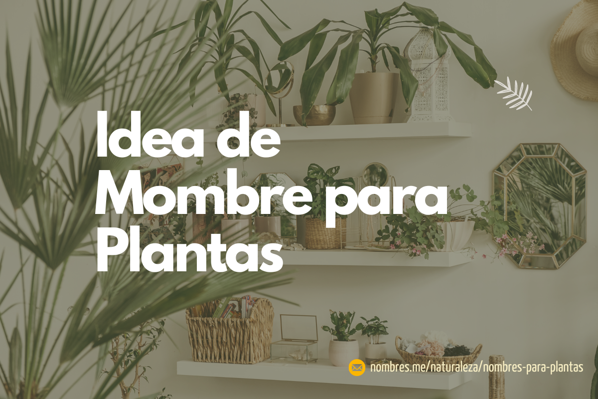 Mejores ideas de Nombres para Plantas